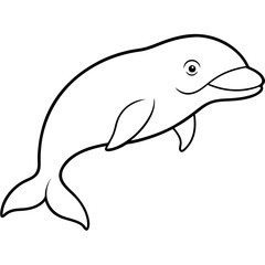 Simple Beluga Whale Vector Outline