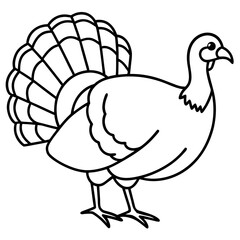 Simple Turkey Outline Vector Design