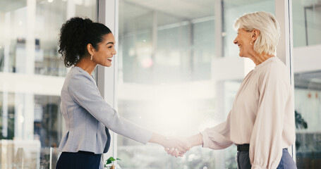 Fototapeta premium Shaking hands, deal and business women in office with greeting for job interview with contract. Negotiation, partnership and female hr manager with candidate for thank you handshake in workplace.