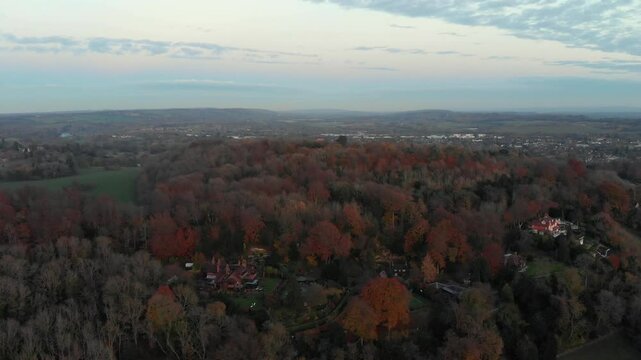Forward-moving wide aerial shot of Reigate Hill forest in vibrant autumn colours.