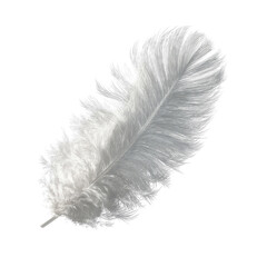 Single Delicate White Feather on Green Background