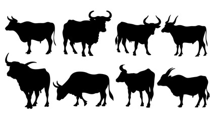 set of cow and bulls silhouette vector on white background