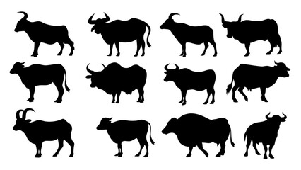 set of cow and bulls silhouette vector on white background