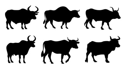 set of cow and bulls silhouette vector on white background