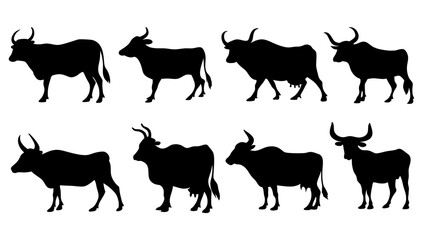 set of cow and bulls silhouette vector on white background