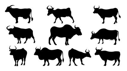 set of cow and bulls silhouette vector on white background