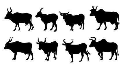 set of cow and bulls silhouette vector on white background