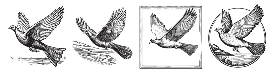 Fototapeta premium Vintage Illustrations of Flying Birds in Artistic Styles, vintage retro hipster logo design, vector illustration, engraving design