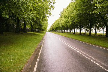 Obraz premium A road near Salisbury England, UK.