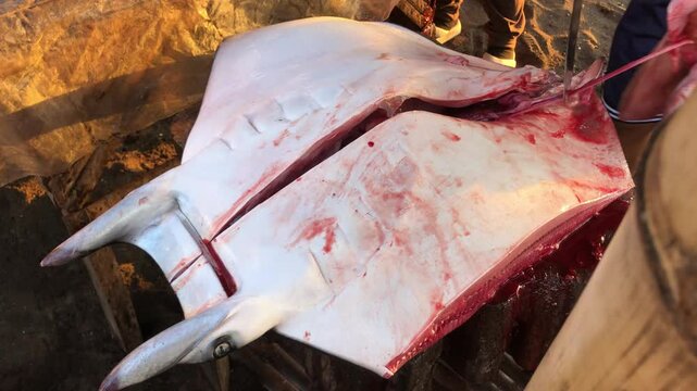 mobula, or devil ray, is being chopped for sale at the seaside fish market.