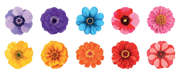 Colorful floral pattern design, element vector set