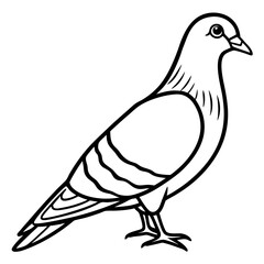 Sleek Pigeon Outline Vector Illustration
