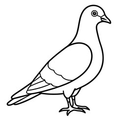 Sleek Pigeon Outline Vector Illustration