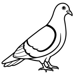 Sleek Pigeon Outline Vector Illustration