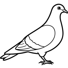 Sleek Pigeon Outline Vector Illustration