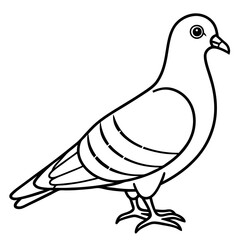 Sleek Pigeon Outline Vector Illustration
