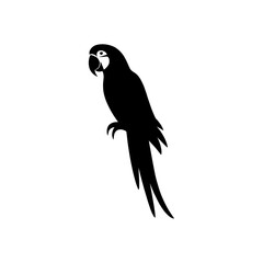 Fototapeta premium parrot silhouette vector illustration beautiful bird design macaw outline art