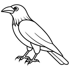 Stylized Crow Vector with Single Line Art