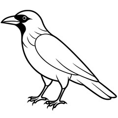 Stylized Crow Vector with Single Line Art