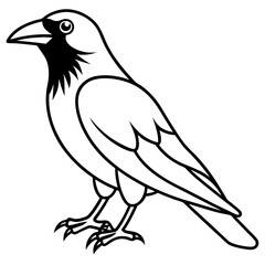 Stylized Crow Vector with Single Line Art
