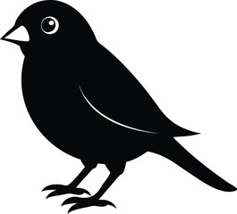 canary silhouette on white background