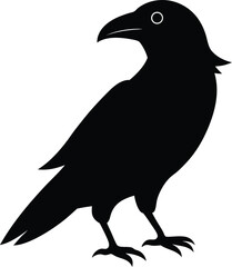 crow on a white background
