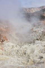 Volcanic landscape with sulfur vapor. Fjallabak. Vertical. Iceland