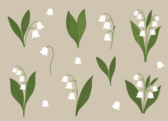 Set of lily of the valley flowers in hand drawn, cartoon style. Suitable for spring designs, floral decoration, and botanical illustrations. Beige background