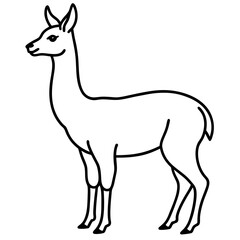 Vicuna in a Single Stroke Vector Design