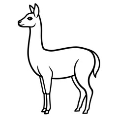Vicuna in a Single Stroke Vector Design