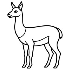 Fototapeta premium Vicuna in a Single Stroke Vector Design