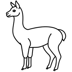 Vicuna in a Single Stroke Vector Design