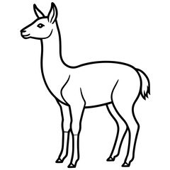 Fototapeta premium Vicuna in a Single Stroke Vector Design