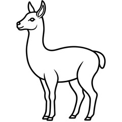 Vicuna in a Single Stroke Vector Design