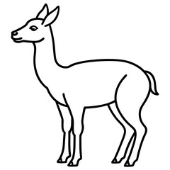 Vicuna in a Single Stroke Vector Design