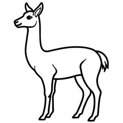 Fototapeta premium Vicuna in a Single Stroke Vector Design