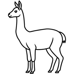 Vicuna in a Single Stroke Vector Design