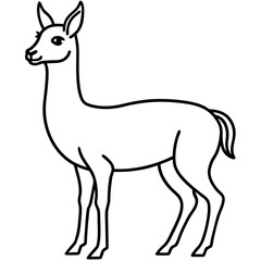Vicuna in a Single Stroke Vector Design