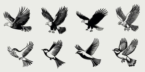 Vintage bird illustration collection, isolated element set vector
