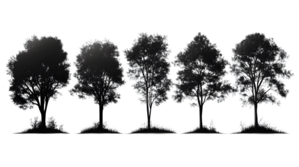 Silhouettes of tree shapes in vector black, clean and high definition, isolated on white background