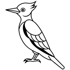 Woodpecker Outline Vector Design