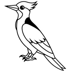 Woodpecker Outline Vector Design