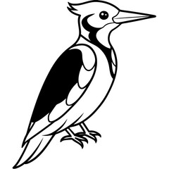 Woodpecker Outline Vector Design