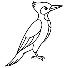 Woodpecker Outline Vector Design