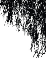 Tree leaf silhouette