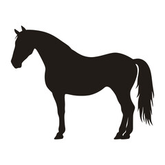 Obraz premium Horse silhouette illustration animal black vector