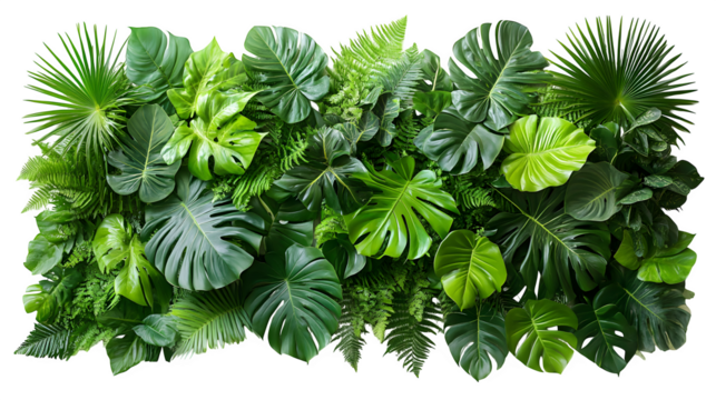 Tropical foliage border, green tones, isolated on white background