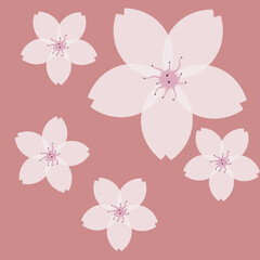 Blooming white lily beautiful flower