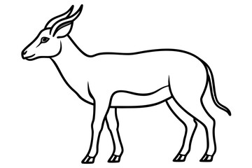 Obraz premium Wildlife Saiga Antelope Vector