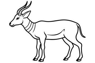 Wildlife Saiga Antelope Vector